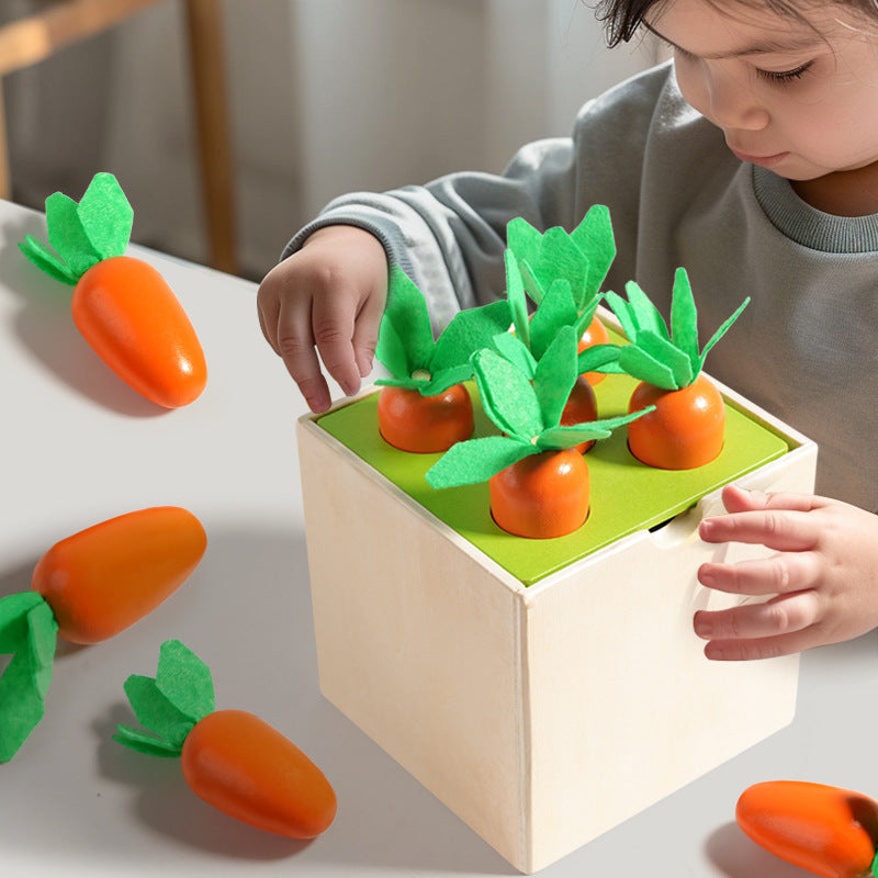 Children's wooden insect-catching game, carrot-pulling educational toy, storage multi-functional box, interlocking building blocks, shape matching